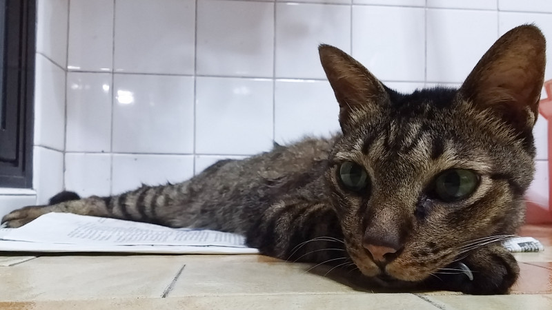 2015-06-05 19.37.56c